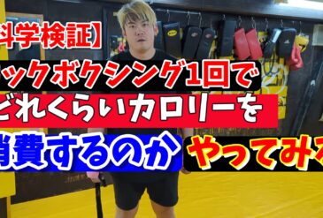 【科学検証】キックボクシングの練習1回でどれくらいカロリーを使うのか、科学的に検証してみる